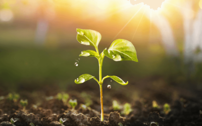 Keep soil alive, protect soil biodiversity